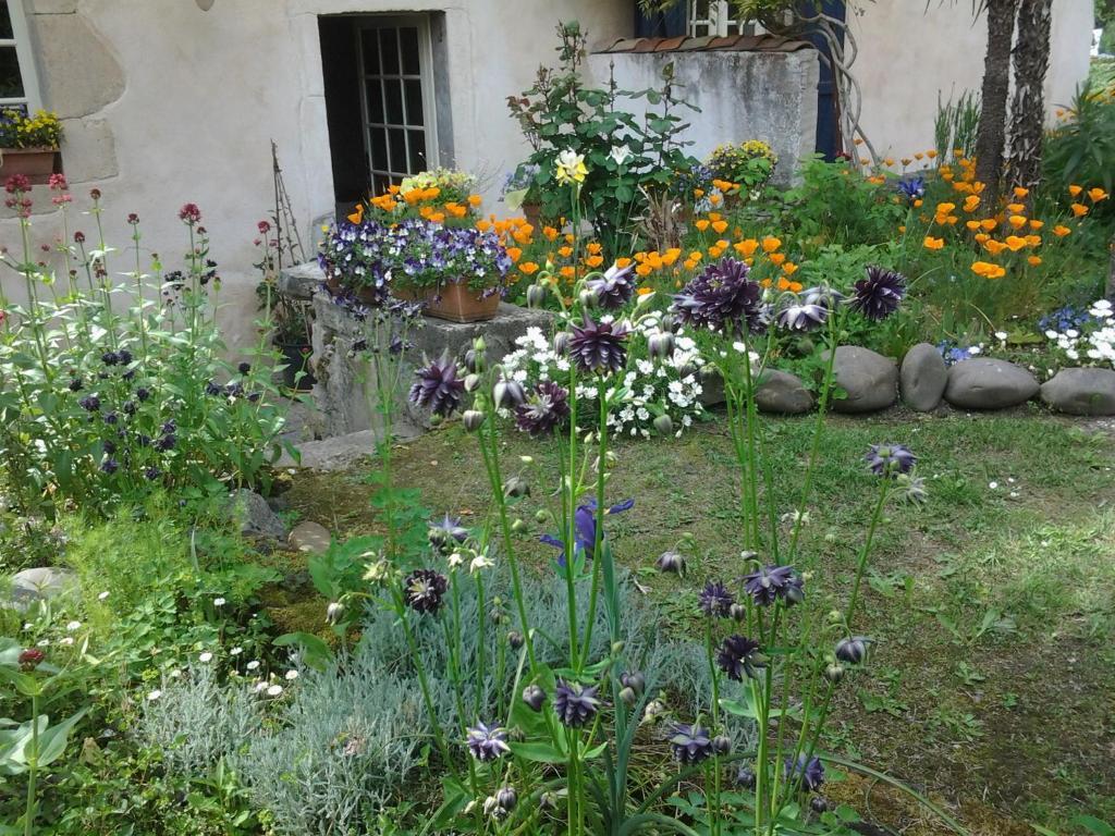 Chambres D'Hotes Aroha Sorde-lʼAbbaye Exteriör bild